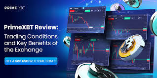 Exploring the Features of the Trading Platform PrimeXBT 0 Exploring the Features of the Trading Platform PrimeXBT 0